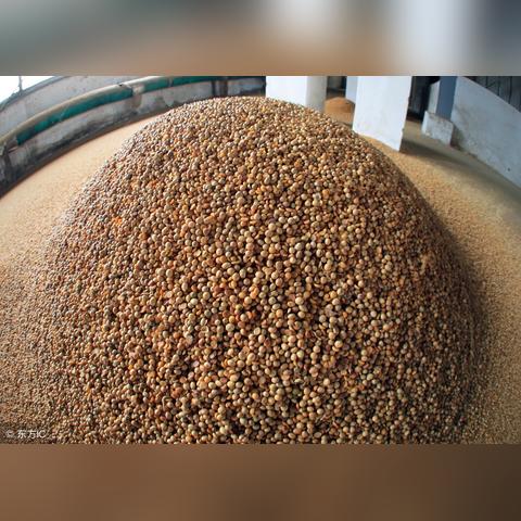 豆粕期货行情/豆粕期货行情走势分析