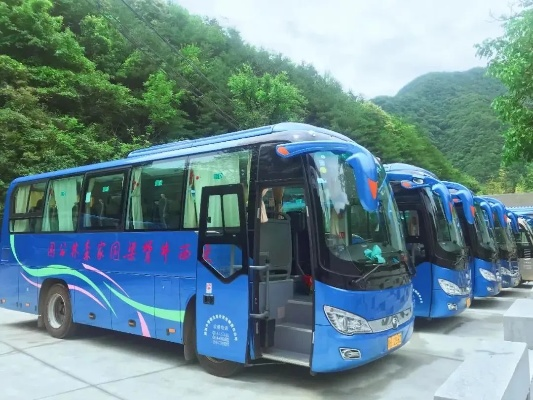 西安:一客车违规甩客车内有阳性(西安大巴事件) 西安:一客车违规甩客车内有阳性(西安大巴事件)