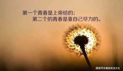 九月最火走心的句子:九月文案句子温柔干净