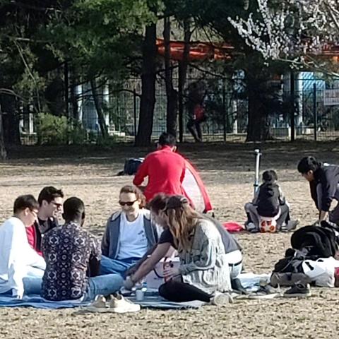 辽宁省朝阳市疫情最新消息（辽宁省朝阳市新冠疫情）