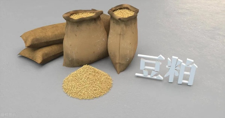 豆粨的简单介绍 豆粨的简单介绍