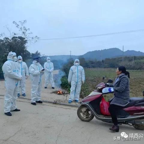 百色疫情最新消息(百色新冠状肺炎疫情) 百色疫情最新消息(百色新冠状肺炎疫情)