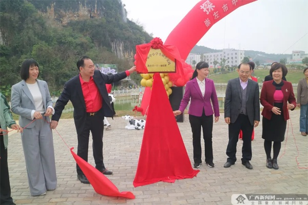 崇左新闻网（崇左新闻网数字报）