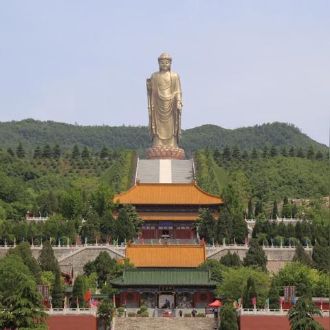 31省增本土108例/31省增本土115例 31省增本土108例/31省增本土115例