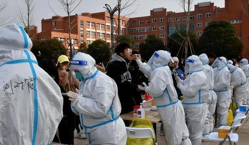【北京此轮疫情为何居高不下,为什么北京疫情控制如此迅速】
