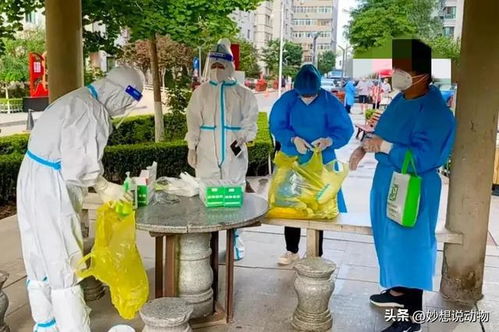 【甘肃最新疫情,甘肃最新疫情最新消息14人】 【甘肃最新疫情,甘肃最新疫情最新消息14人】