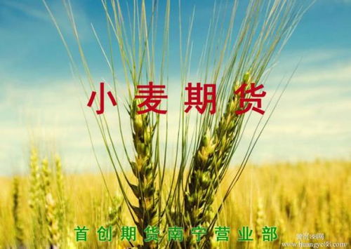 【小麦期货,小麦期货大涨】