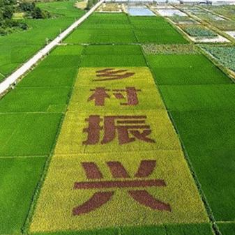 福建省最新疫情最新消息/福建省最新疫情最新消息今天 福建省最新疫情最新消息/福建省最新疫情最新消息今天