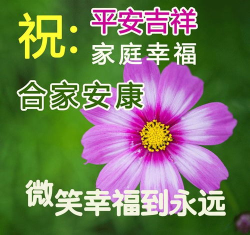早安暖心话短句:老婆早安暖心话短句