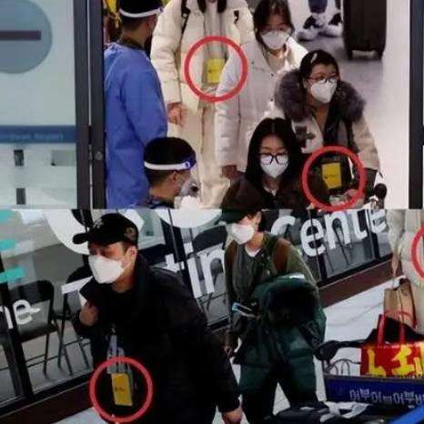 【乘火车飞机不再查核酸?多地回应/乘火车飞机不再查核酸?多地回应】