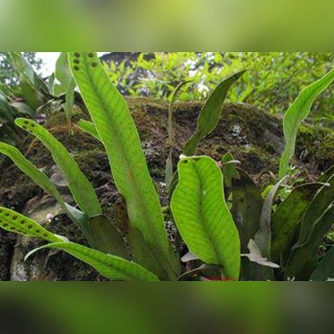 江西新增本土无症状1例/江西新增1例本土无症状在哪 江西新增本土无症状1例/江西新增1例本土无症状在哪