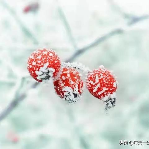【辽宁新增102例本土无症状,辽宁新增69例无症状】 【辽宁新增102例本土无症状,辽宁新增69例无症状】