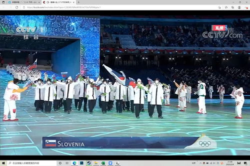 2022年冬奥会国家名单(2022年冬奥会参与国家) 2022年冬奥会国家名单(2022年冬奥会参与国家)