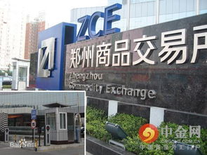 郑州期货/郑州期货商品实时行情 郑州期货/郑州期货商品实时行情
