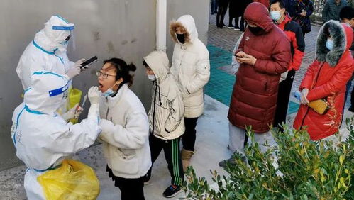 【大连疫情处于胶着期/大连疫情蔓延】 【大连疫情处于胶着期/大连疫情蔓延】