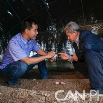 【安顺疫情最新消息,安顺最新疫情防控公告】