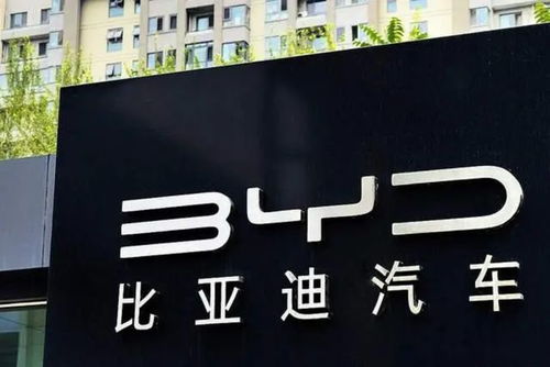 比亚迪港股/比亚迪港股为什么暴跌 比亚迪港股/比亚迪港股为什么暴跌