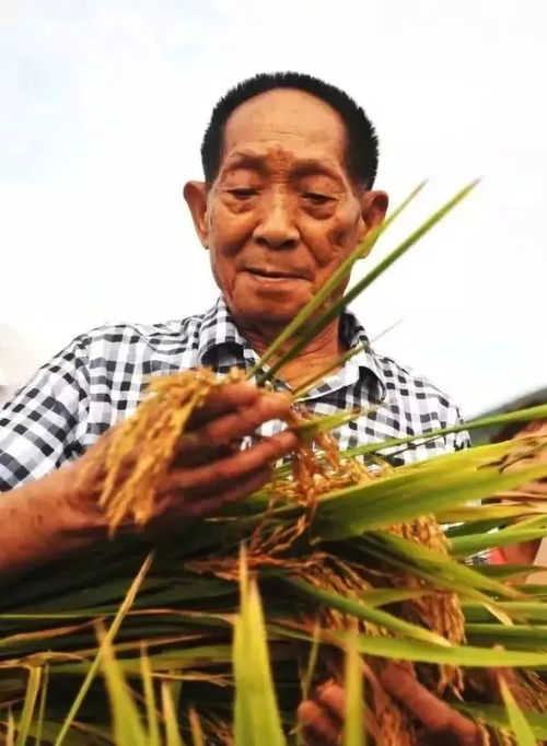 袁隆平家里有多少人(袁隆平家有多少钱) 袁隆平家里有多少人(袁隆平家有多少钱)