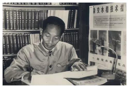 袁隆平家里有多少人(袁隆平家有多少钱) 袁隆平家里有多少人(袁隆平家有多少钱)
