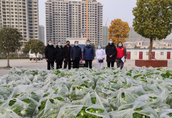 息县疫情/息县疫情通报 息县疫情/息县疫情通报