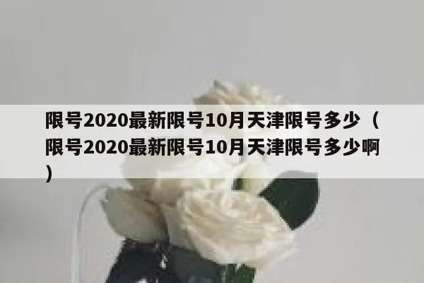 【天津2020限号查询/天津2020车辆限号】 【天津2020限号查询/天津2020车辆限号】