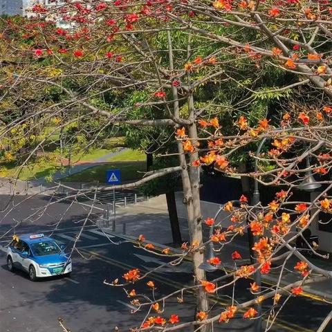 深圳疫情最新规定/2021深圳疫情新规 深圳疫情最新规定/2021深圳疫情新规