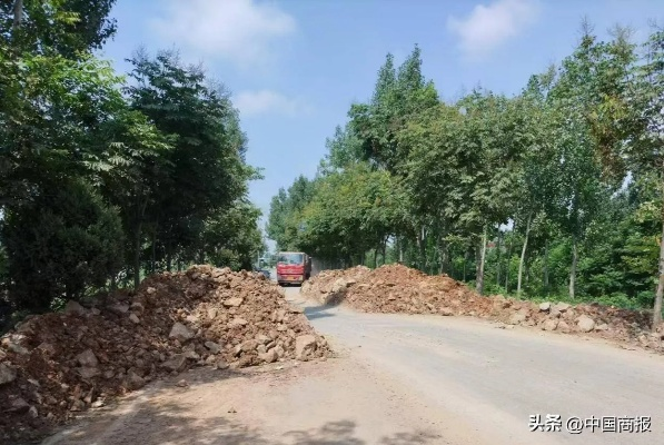 河南禹州只进不出:河南不让进出 河南禹州只进不出:河南不让进出