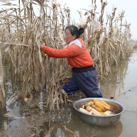吉林新增确诊2320例/吉林新增63例确诊病 吉林新增确诊2320例/吉林新增63例确诊病