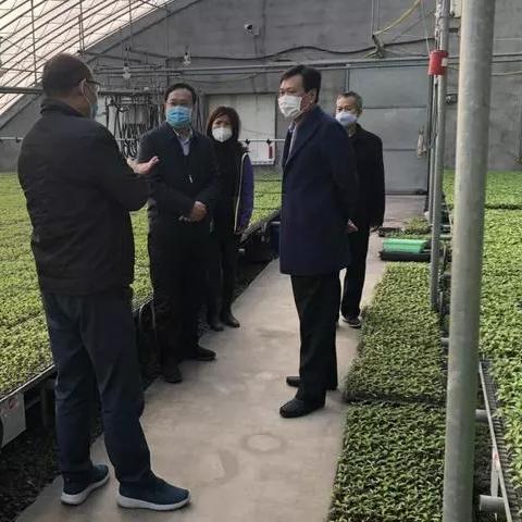 【兰陵疫情最新消息,兰陵疫情确诊】 【兰陵疫情最新消息,兰陵疫情确诊】