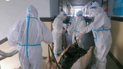 吉林一学院疫情聚集暴发:吉林省疫情大学什么时候开学