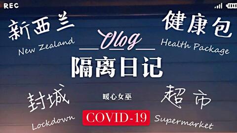 包含中国第二次疫情封城的词条