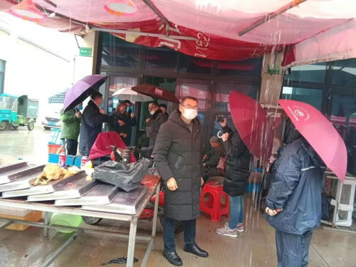 天台疫情/天台 疫情 天台疫情/天台 疫情