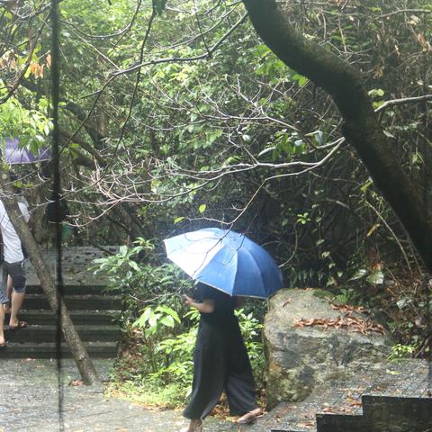 大岭山公园/大岭山公园要门票吗