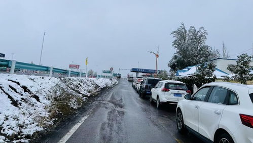 【多名游客滞留伊犁收费站超30小时/300名游客滞留伊犁收费站】 【多名游客滞留伊犁收费站超30小时/300名游客滞留伊犁收费站】