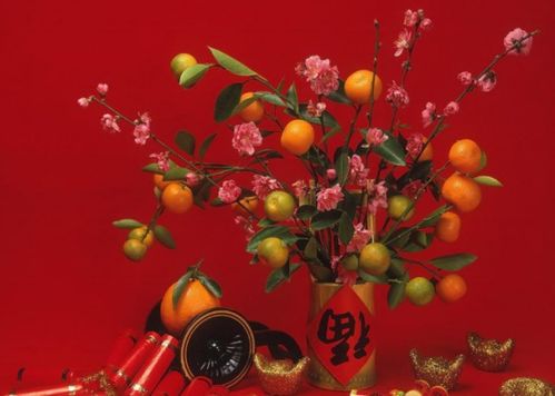 2021春节是什么时候几月几日/2021年春节是何时? 2021春节是什么时候几月几日/2021年春节是何时?