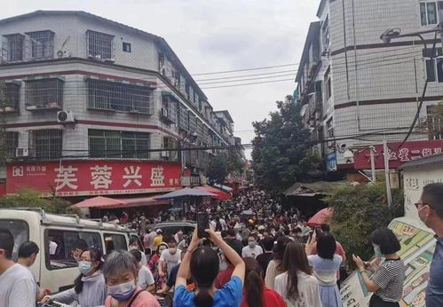 成都市疫情最新情况/成都市疫情最新消息数据