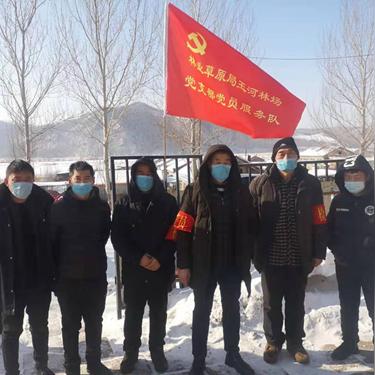 黑龙江新型冠状病毒/黑龙江新型肺炎