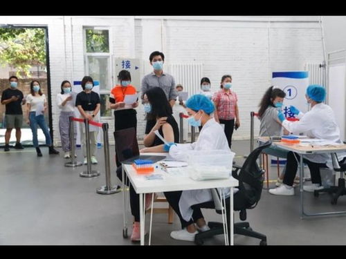 北京疫情最新消息情况（北京疫情最新消息情况24小时）