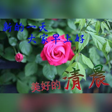 2022贵州疫情最新消息今天又封了/贵州疫情近况