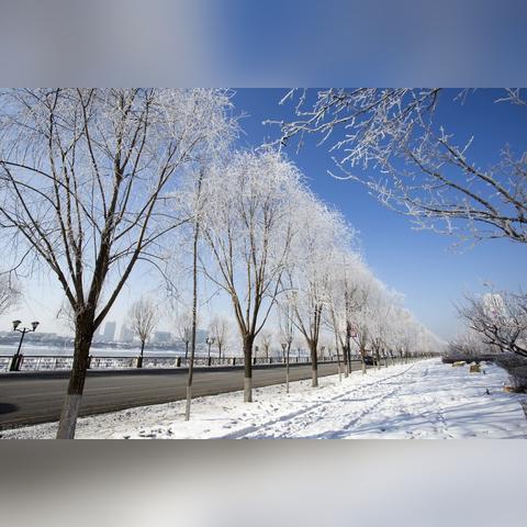 过年高速免费时间2022最新通知:过年高速免费吗 2021 过年高速免费时间2022最新通知:过年高速免费吗 2021