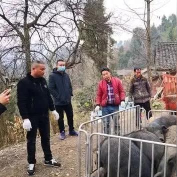 德阳疫情最新消息今天封城了（德阳疫情今天最新消息2月21日）