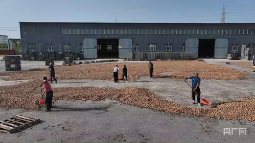 【无锡部分厂区被列为高风险区,无锡市高风险地区还是低风险地区】