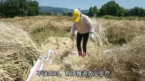 包含江西万年实现社会面基本清零的词条