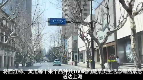 雅安疫情最新消息今天封城了:雅安新冠病毒疫情实时情况