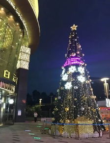 广州摘星了吗（广州摘果）