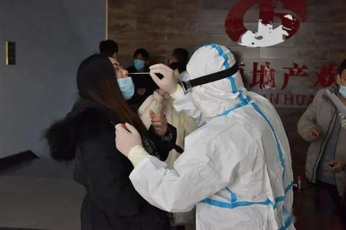 【邢台疫情/邢台疫情情况通报】