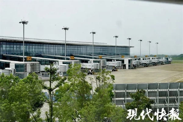 南京禄口机场恢复国内航班运行/南京禄口机场恢复运营了吗