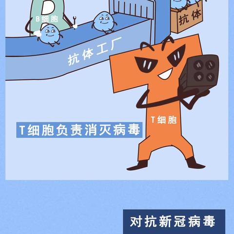 【31省增43例本土确诊,31省增确诊30例其中本土12例】