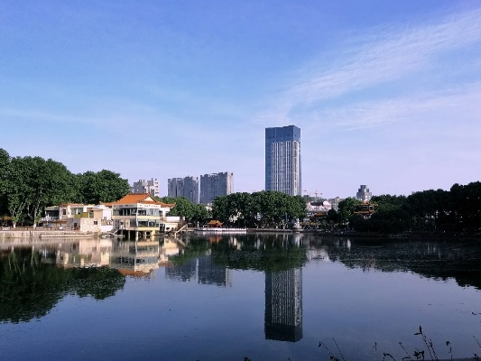 蚌山区/蚌山区领导班子一览表