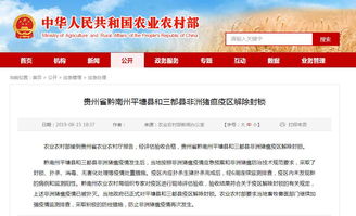 2022贵州疫情最新消息今天又封了(2022贵州疫情最新消息今天又封了吗) 2022贵州疫情最新消息今天又封了(2022贵州疫情最新消息今天又封了吗)